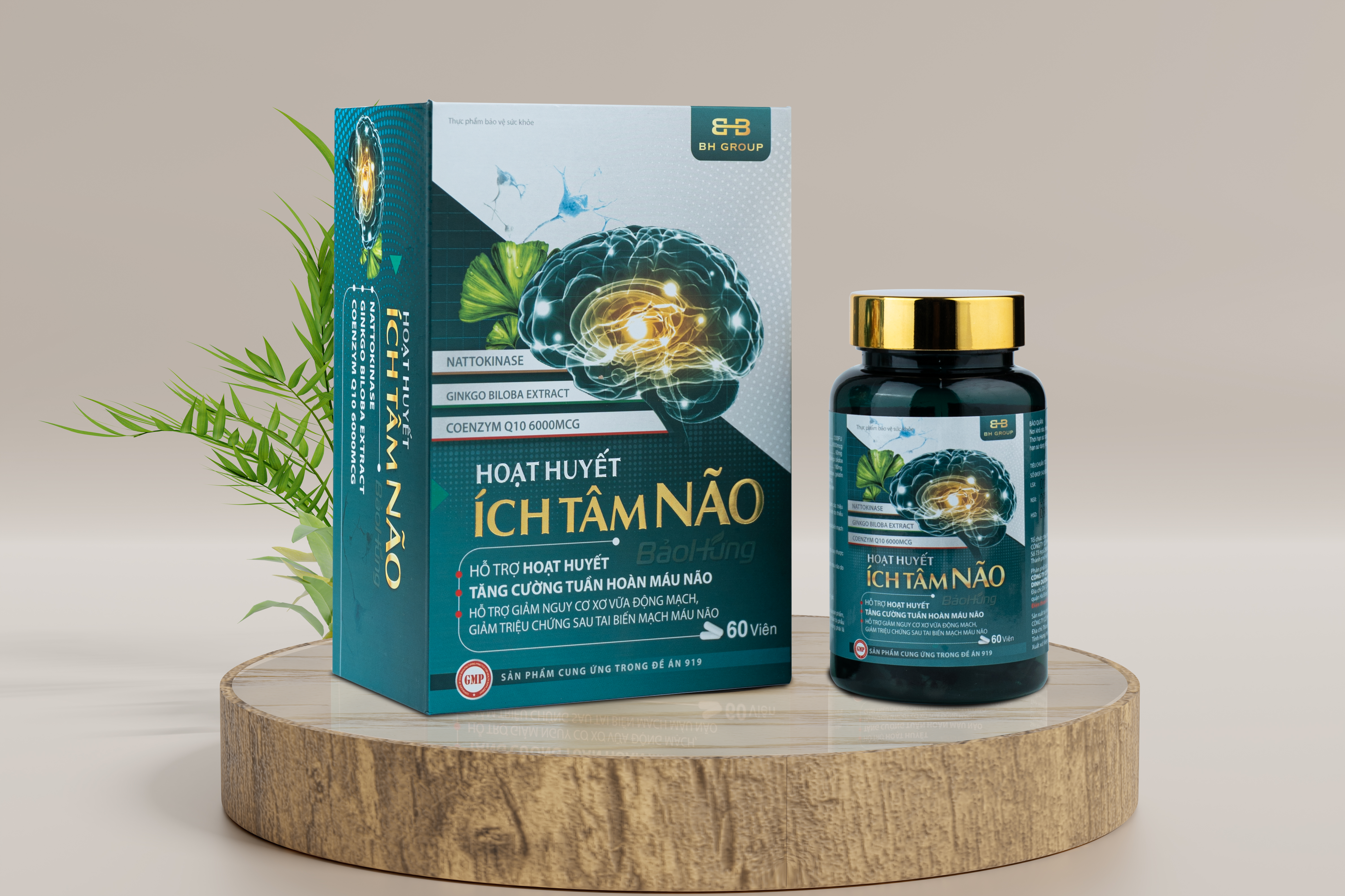 Hoạt Huyết Ích Tâm Não Bảo Hưng